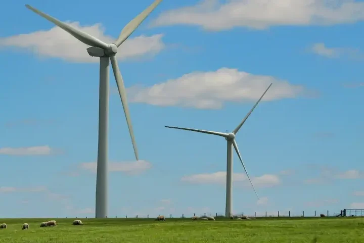 Energy Consultancy