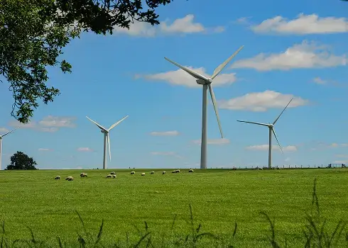 Energy Consultancy